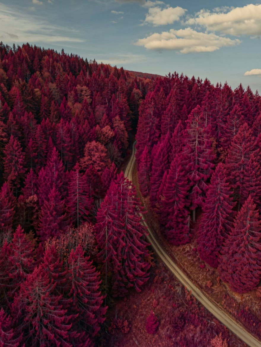 mona-lisa-1 photoreal AI nature still — crimson forest waterfall scene